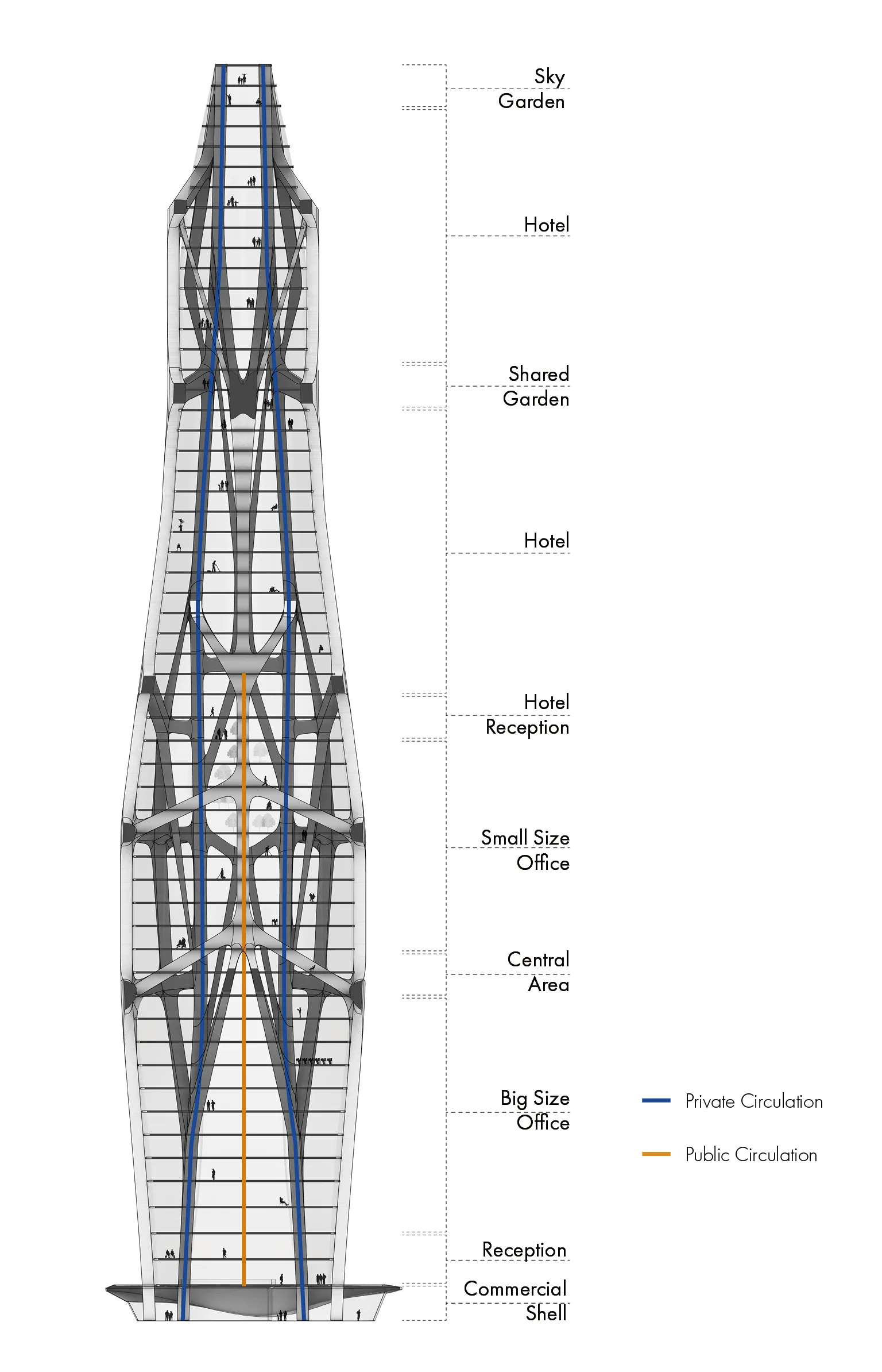 DT01 Section